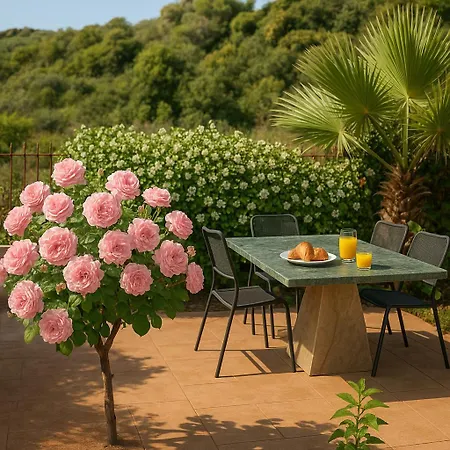 Armonia By The Sea - Majestic Seaside Retreat Feriehus *