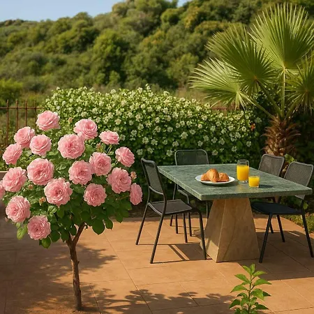 Armonia By The Sea - Majestic Seaside Retreat *